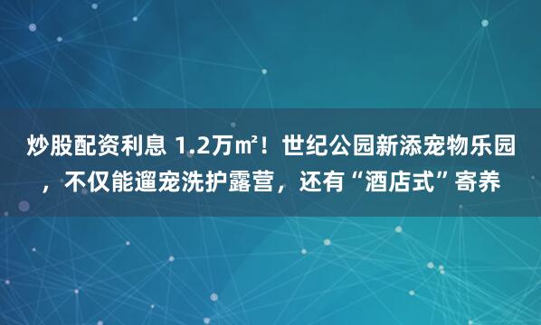 炒股配资利息 1.2万㎡！世纪公园新添宠物乐园，不仅能遛宠洗护露营，还有“酒店式”寄养